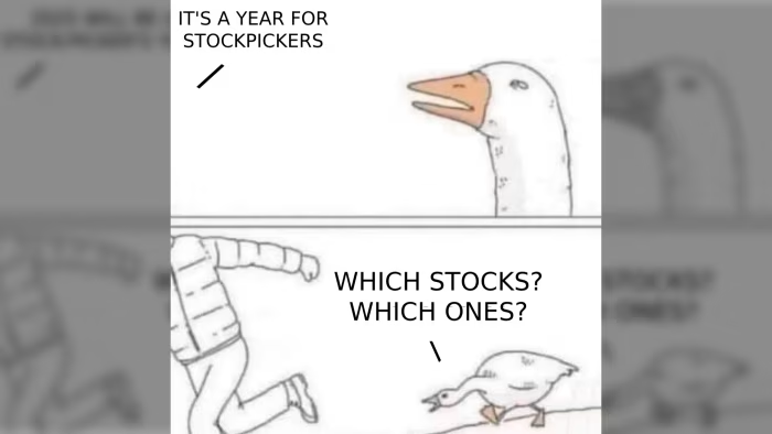 How to Use Motu to Find Stocks